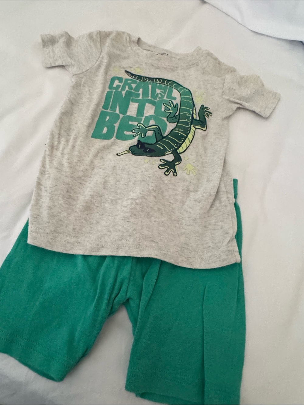 Carter's Heather Gray Tee with Green Lizard Graphic